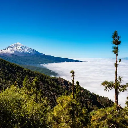 Apartment Casa Julia 1 Atico Vista Playa Teresitas *