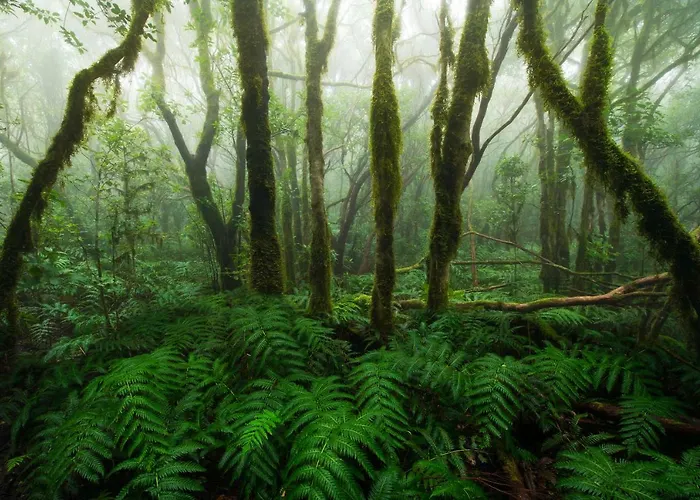 Apartment Casa Julia 1 Atico Vista Playa Teresitas