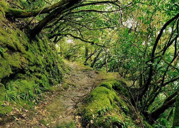 Casa Julia 1 Atico Vista Playa Teresitas *